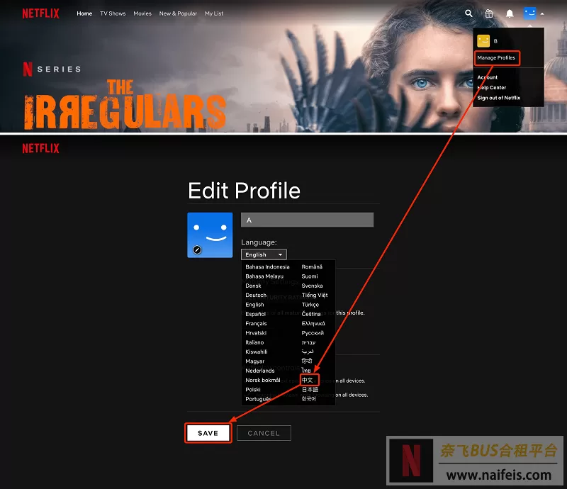 Netflix网站官网入口（奈飞网页版登录网址）